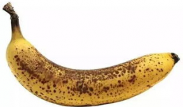 香蕉久久视频,揭秘短视频时代的魅力与挑战